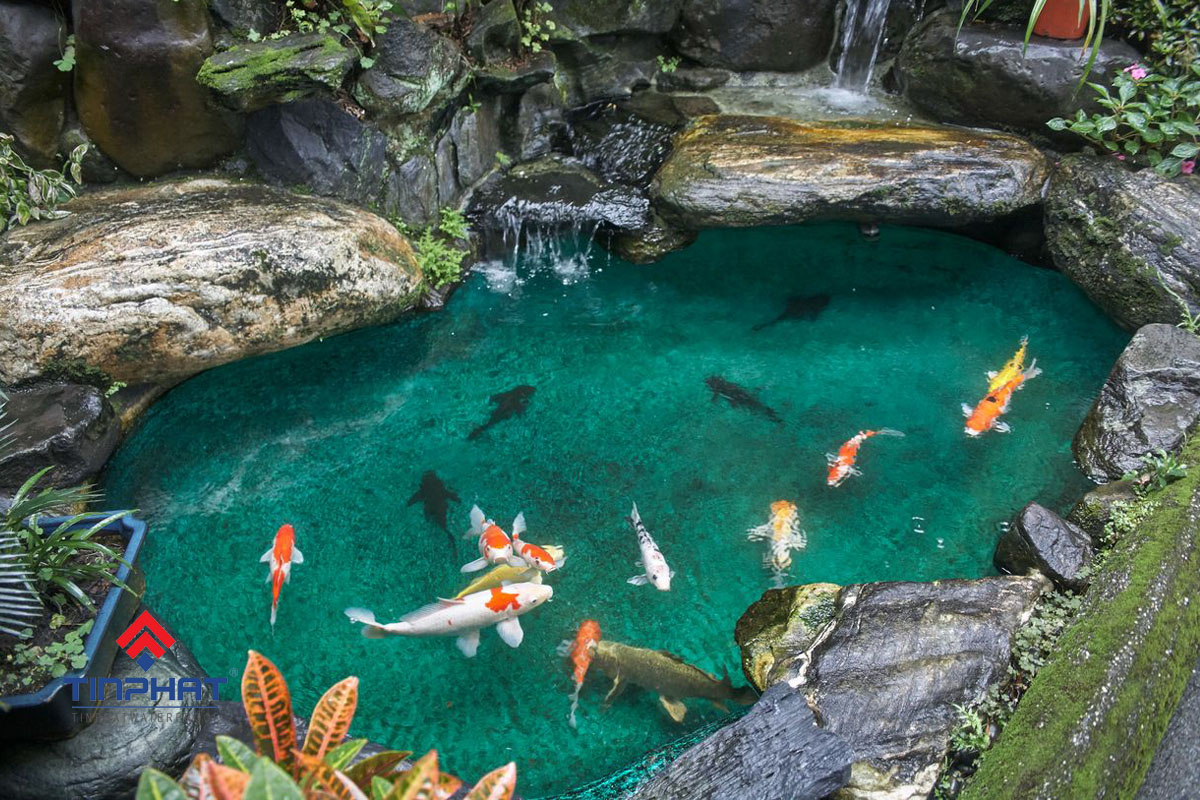 Hồ cá koi