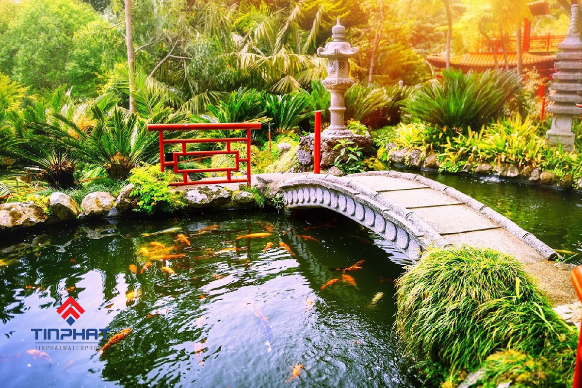 Hồ cá koi
