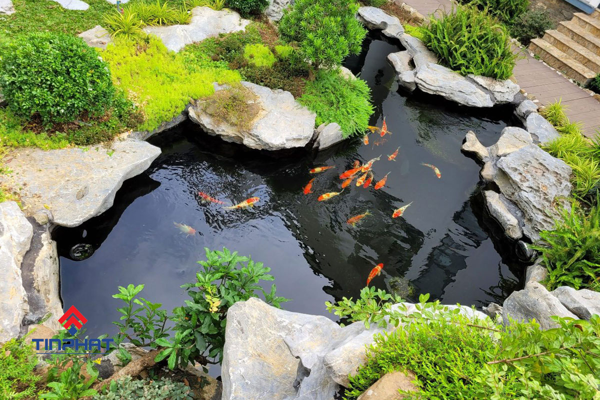 Hồ cá koi
