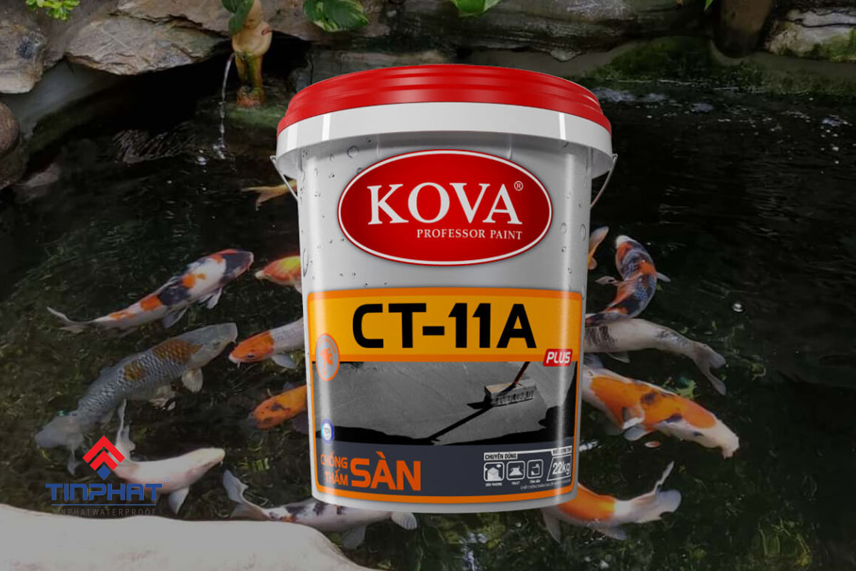 Son chong tham ho ca koi