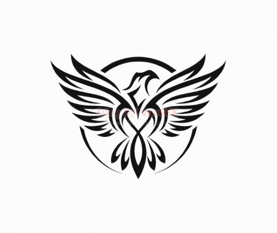 Logo đại bàng đẹp nhất