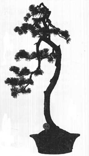 các thế bonsai tranh phong trác tập