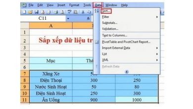 Cách Sort trong Excel 2003