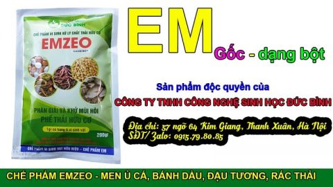 Emzeo là chế phẩm EM gốc dạng bột được sử dụng để sản xuất ra EM thứ cấp