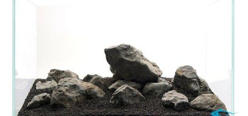 núi đá phong cách iwagumi