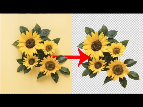 Illustrator tutorial Cách cắt hình trong illustrator How to cut picture in illustrator