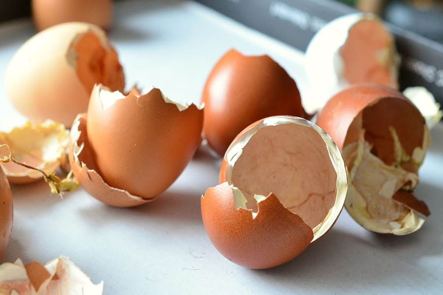 Vỏ trứng có nhiều lợi ích