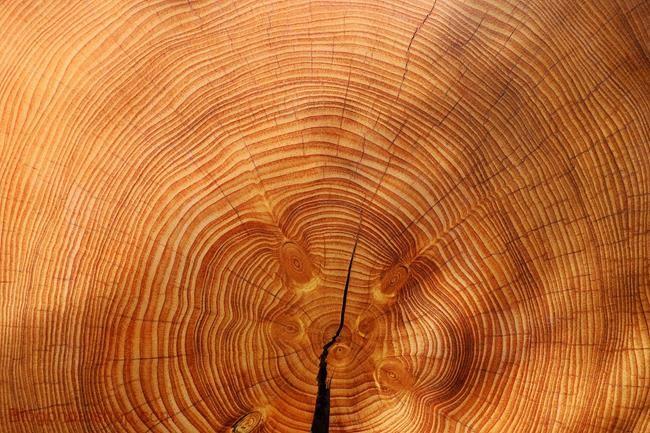 wood-texture-floor
