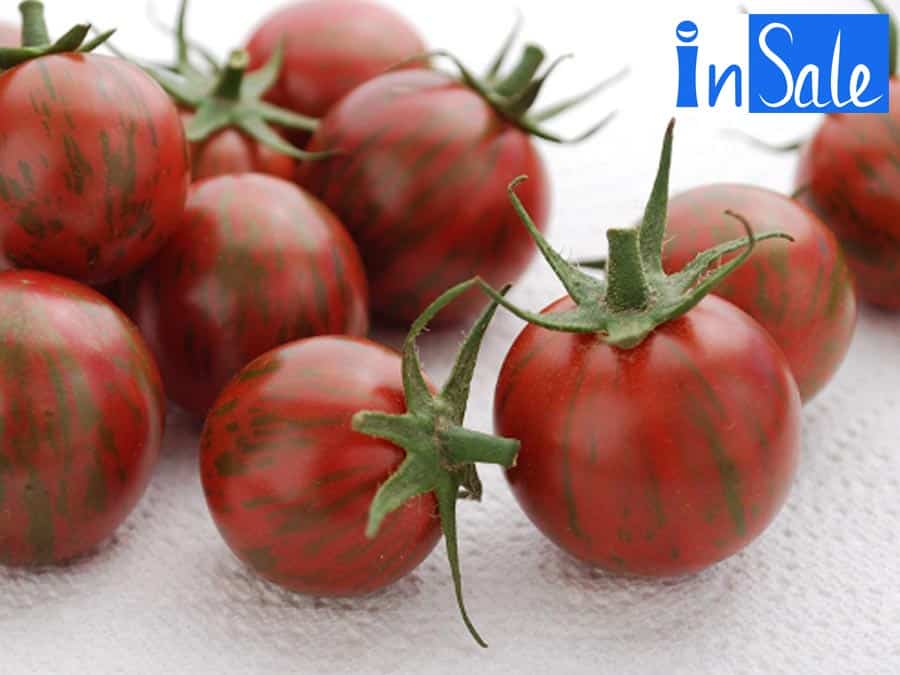 Cà chua socola giúp giảm cân, đẹp da và tốt cho tiêu hoá