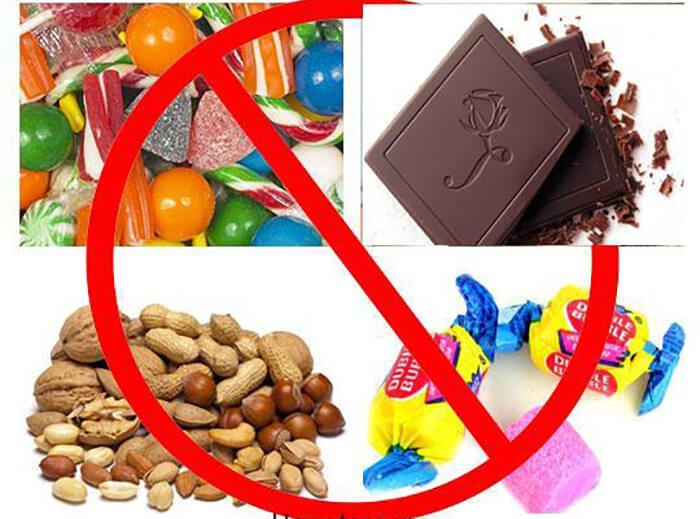 Chuột Hamster không nên ăn những loại đồ ngọt như kẹo, sô cô la