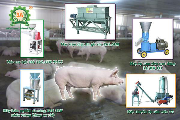 Máy chế biến thức ăn cho lợn 