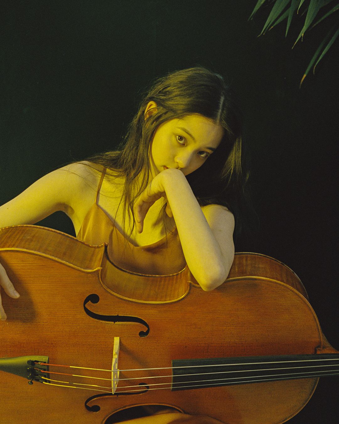 nghe si dan cello au duong na na - elle man (4)