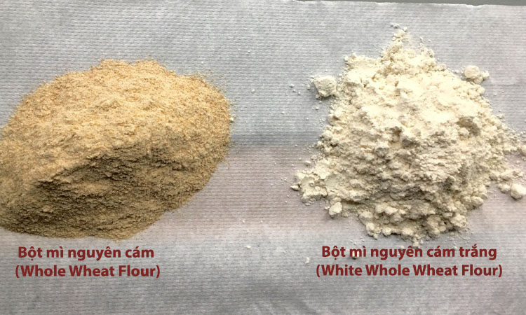 Bột mì nguyên cám - Whole Wheat Flour là gì? Bột mì nguyên cám làm bánh gì?