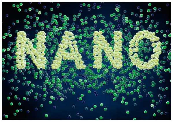 Canxi nano có khả năng hấp thụ gấp 200 lần so với canxi thông thường.