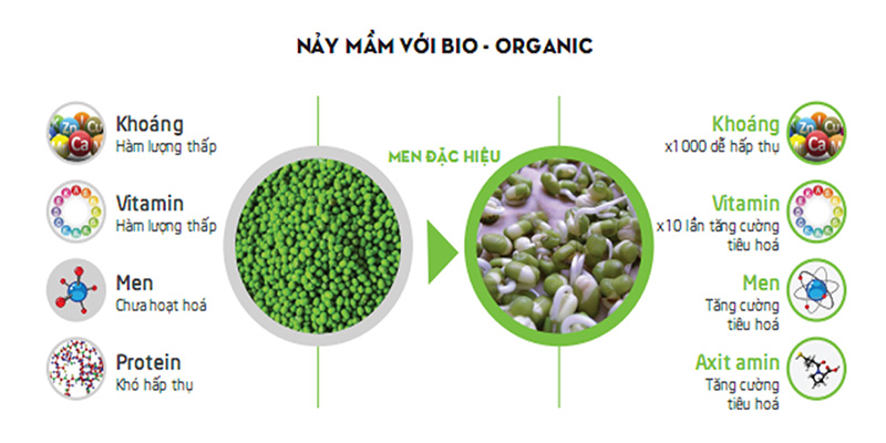 ưu điểm của công nghệ bio - organic với mầm đậu xanh