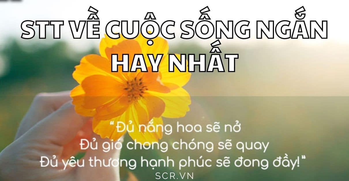 STT VE CUOC SONG NGAN HAY NHAT