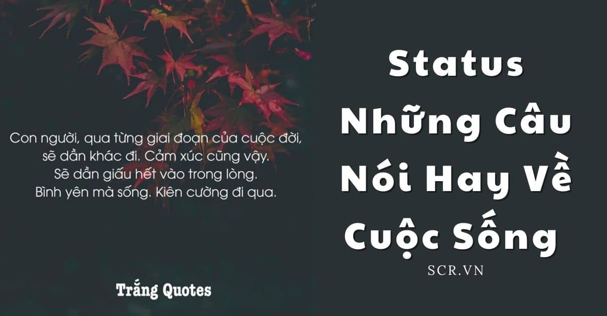 Status Nhung Cau Noi Hay Ve Cuoc Song Ngan Gon