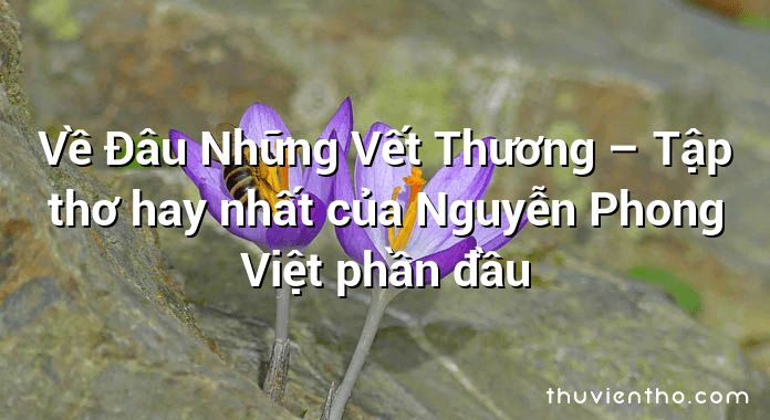 Về Đâu Những Vết Thương – Tập thơ hay nhất của Nguyễn Phong Việt phần đầu
