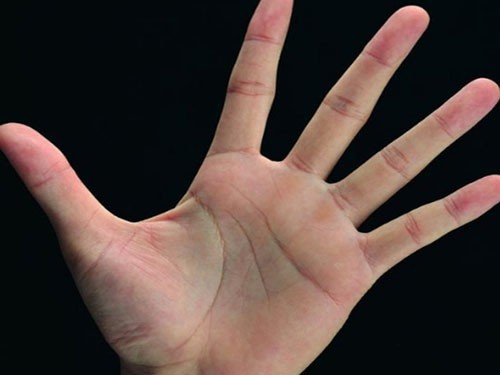 Bàn tay mà có 12 dấu hiệu này, bạn sẽ phú quý giàu sang cả đời, đặc biệt số 10 rất hiếm gặp - Ảnh 2.